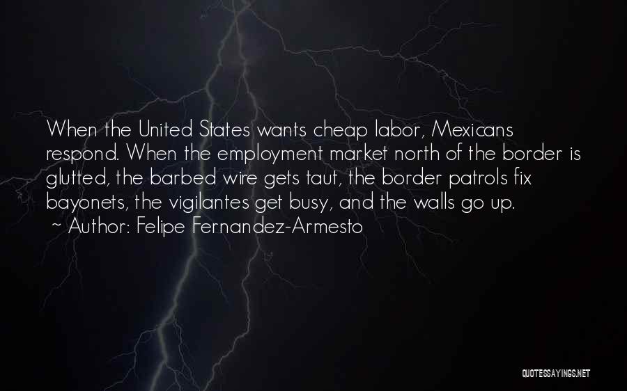 Barbed Wire Quotes By Felipe Fernandez-Armesto