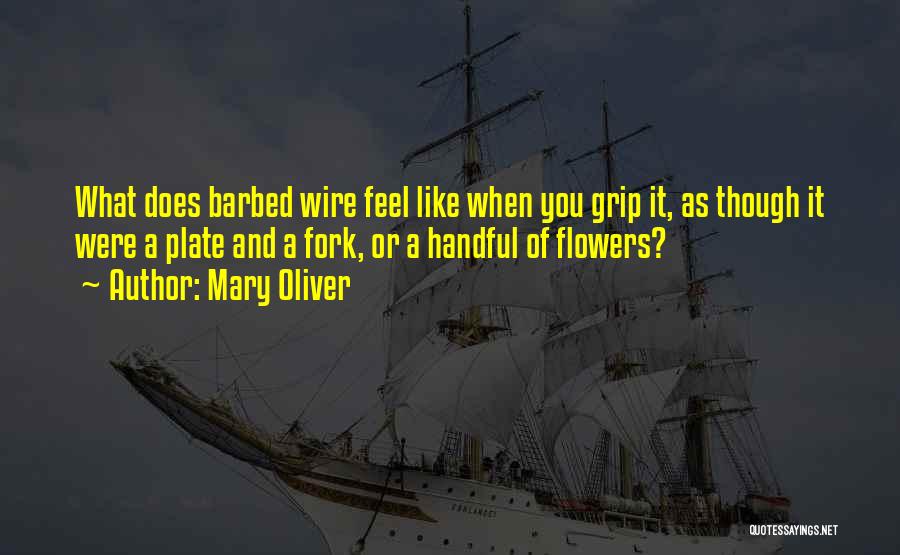 Barbed Wire Quotes By Mary Oliver