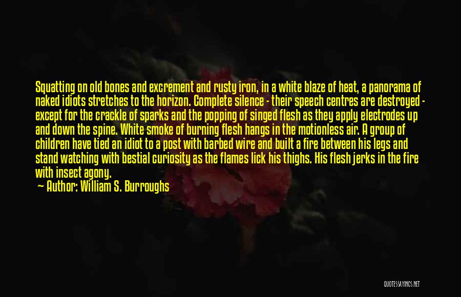 Barbed Wire Quotes By William S. Burroughs