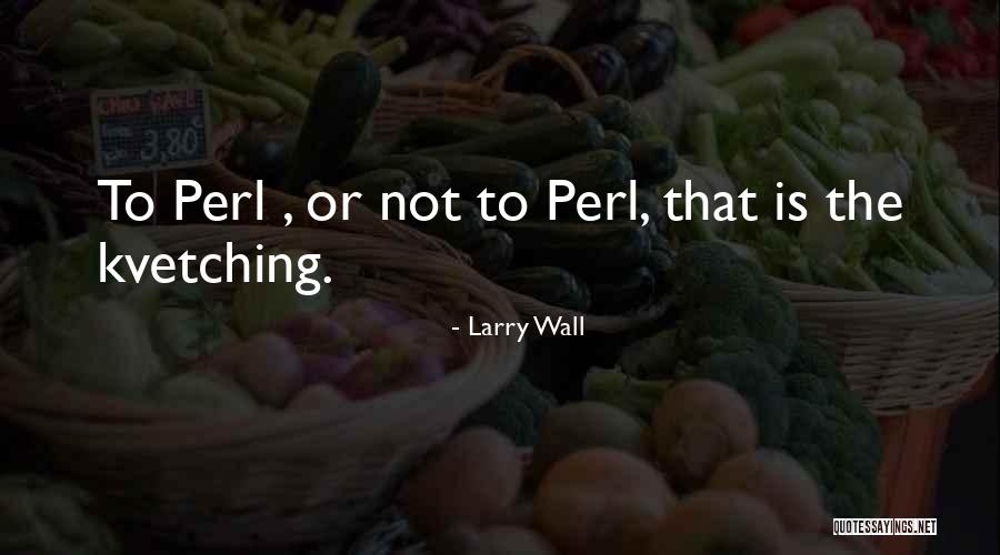 Barbeito Photography Quotes By Larry Wall