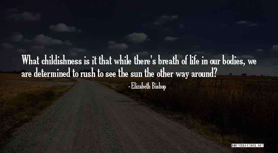 Barbeito Wine Quotes By Elizabeth Bishop Barbeito Wine Quotes By Elizabeth Bishop