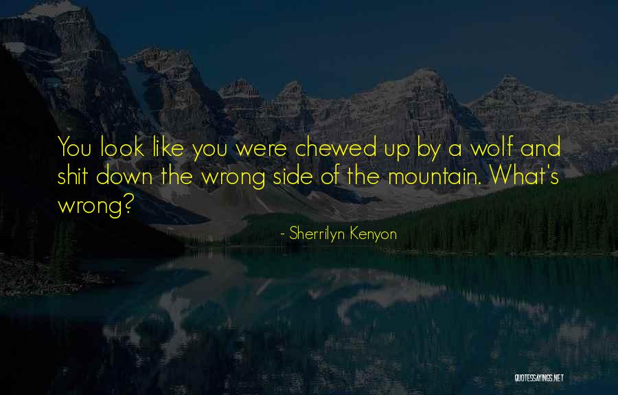 Barbelle Gistel Quotes By Sherrilyn Kenyon Barbelle Gistel Quotes By Sherrilyn Kenyon