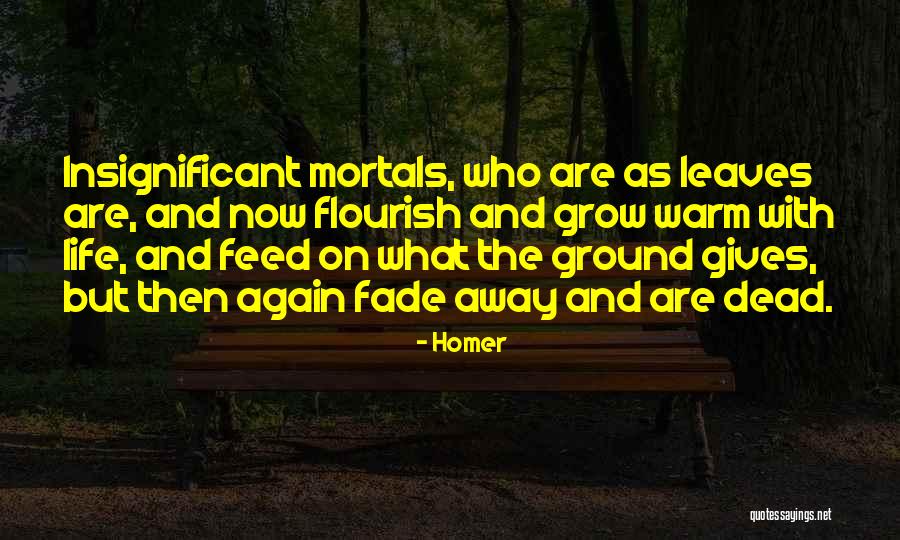 Barbells For Women Quotes By Homer Barbells For Women Quotes By Homer