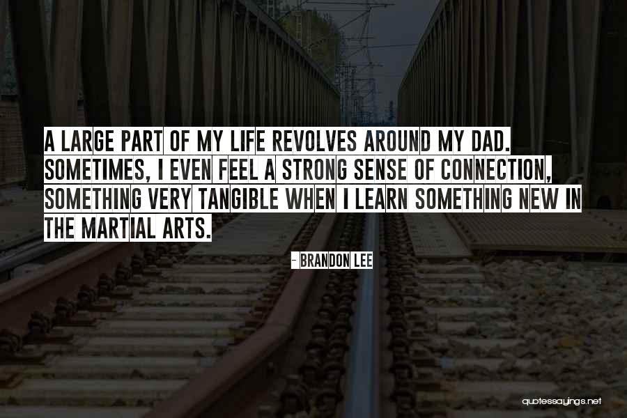 Barberino Wallingford Quotes By Brandon Lee Barberino Wallingford Quotes By Brandon Lee