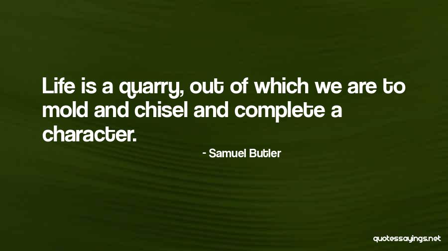 Barbetta Krinsky Quotes By Samuel Butler