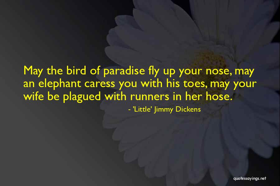 Barbini Glass Quotes By 'Little' Jimmy Dickens Barbini Glass Quotes By 'Little' Jimmy Dickens