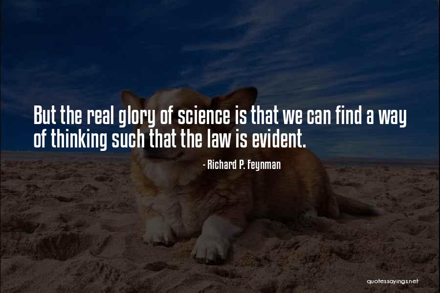 Barboni Restaurant Quotes By Richard P. Feynman Barboni Restaurant Quotes By Richard P. Feynman