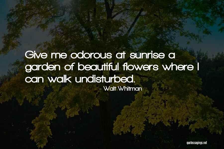 Barcelonas Soccer Quotes By Walt Whitman