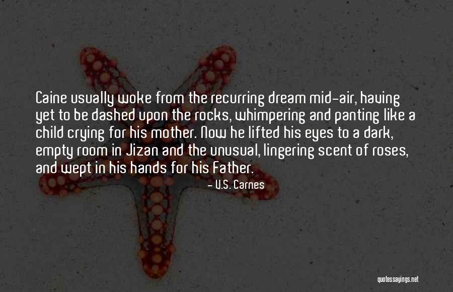 Barck Bank Quotes By V.S. Carnes