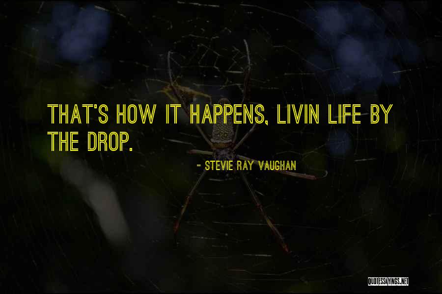 Bardaroy Quotes By Stevie Ray Vaughan Bardaroy Quotes By Stevie Ray Vaughan