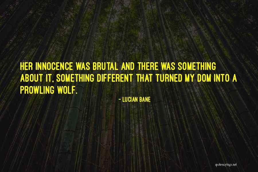 Bardha Krasniqi Quotes By Lucian Bane Bardha Krasniqi Quotes By Lucian Bane