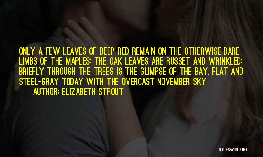 Bare Trees Quotes By Elizabeth Strout