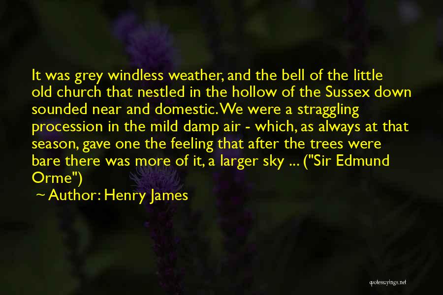 Bare Trees Quotes By Henry James