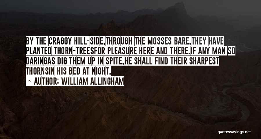 Bare Trees Quotes By William Allingham