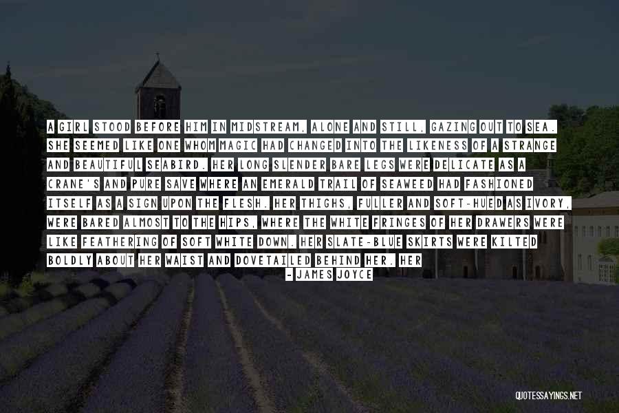 Bared Quotes By James Joyce Bared Quotes By James Joyce