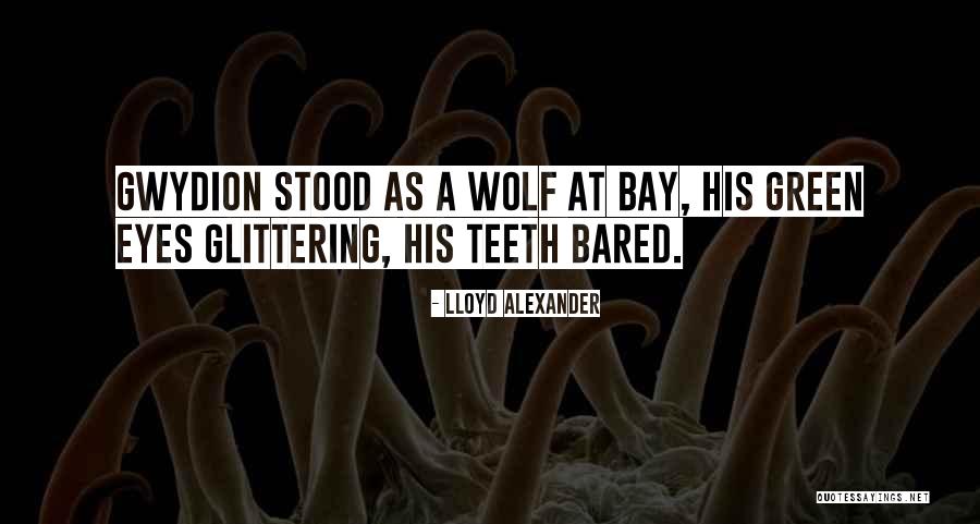 Bared Quotes By Lloyd Alexander Bared Quotes By Lloyd Alexander