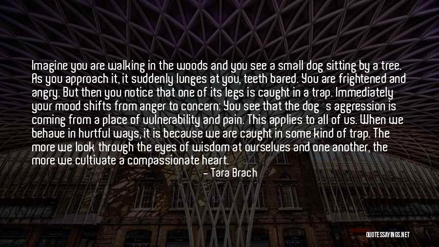 Bared Quotes By Tara Brach Bared Quotes By Tara Brach