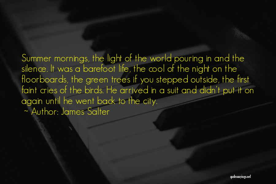 Barefoot Summer Quotes By James Salter