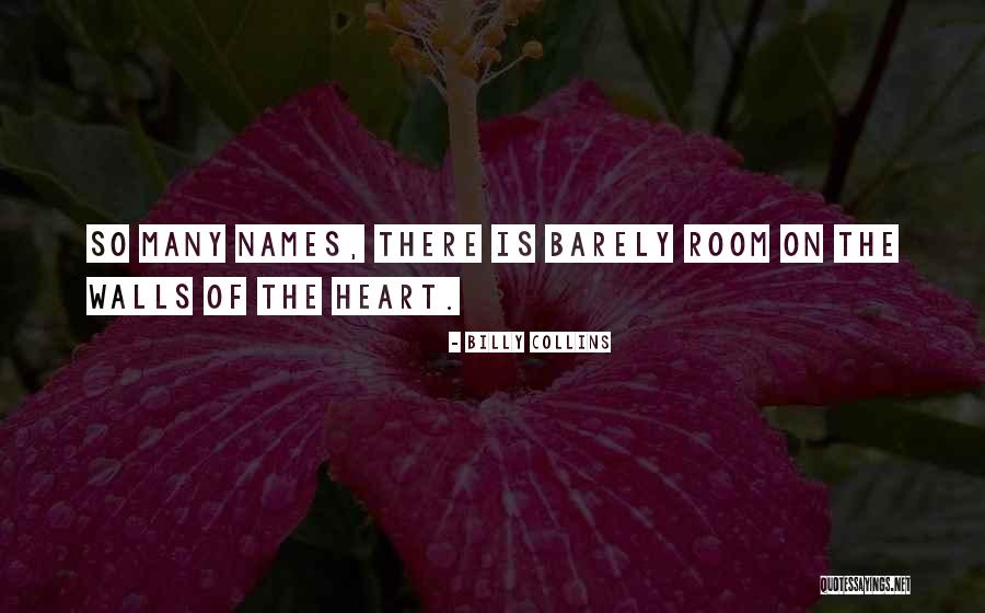 Barely There Quotes By Billy Collins Barely There Quotes By Billy Collins