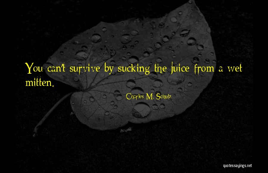 Barend Holiday Quotes By Charles M. Schulz Barend Holiday Quotes By Charles M. Schulz