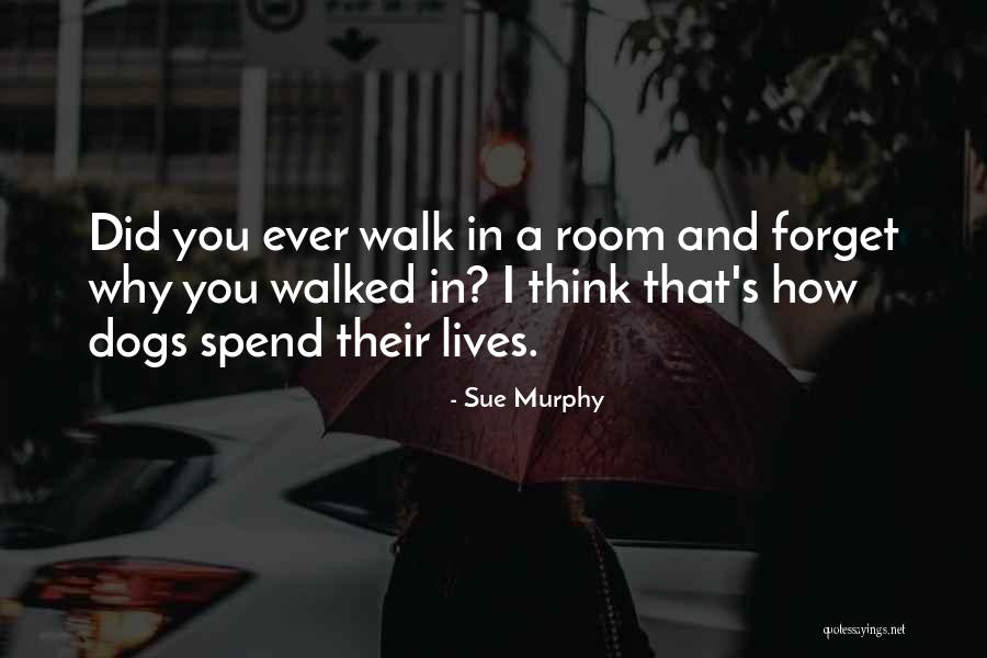Baresi Olives Quotes By Sue Murphy Baresi Olives Quotes By Sue Murphy
