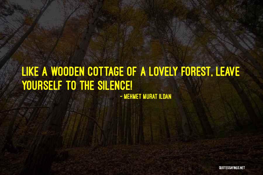Barfull Quotes By Mehmet Murat Ildan Barfull Quotes By Mehmet Murat Ildan