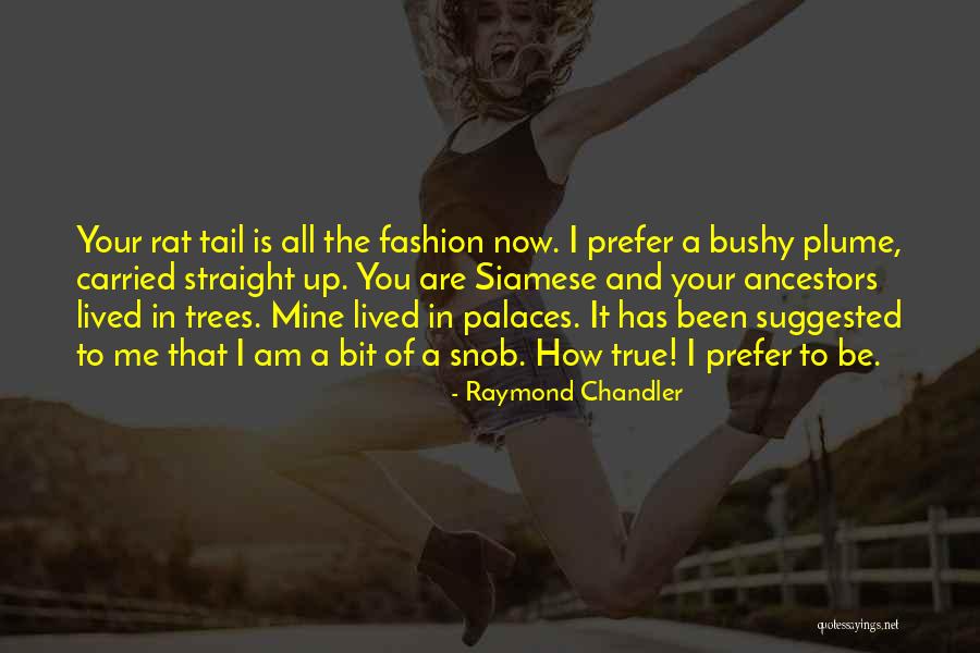 Barghest Pathfinder Quotes By Raymond Chandler Barghest Pathfinder Quotes By Raymond Chandler