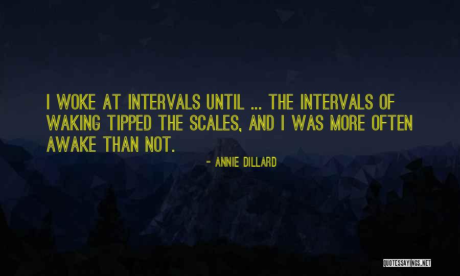 Bargylus Quotes By Annie Dillard Bargylus Quotes By Annie Dillard