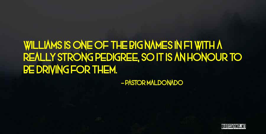 Baricelli Quotes By Pastor Maldonado Baricelli Quotes By Pastor Maldonado