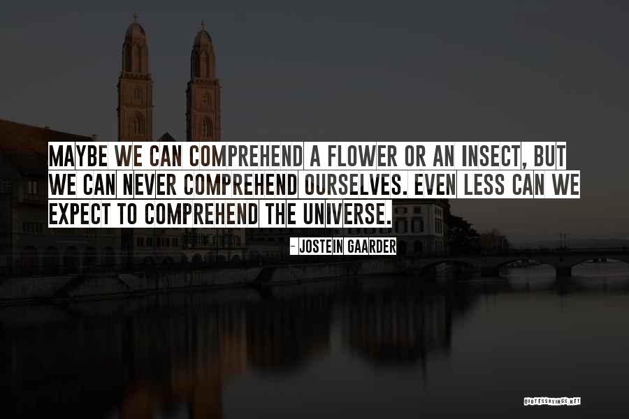 Barili Sisters Quotes By Jostein Gaarder Barili Sisters Quotes By Jostein Gaarder