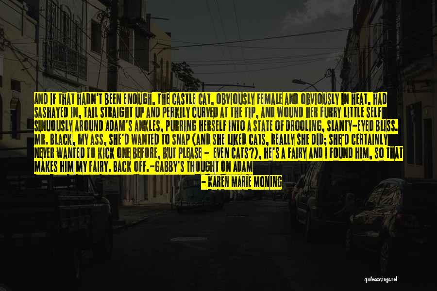 Barindelli Alberto Quotes By Karen Marie Moning Barindelli Alberto Quotes By Karen Marie Moning