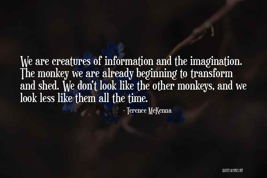 Barisich Department Quotes By Terence McKenna Barisich Department Quotes By Terence McKenna