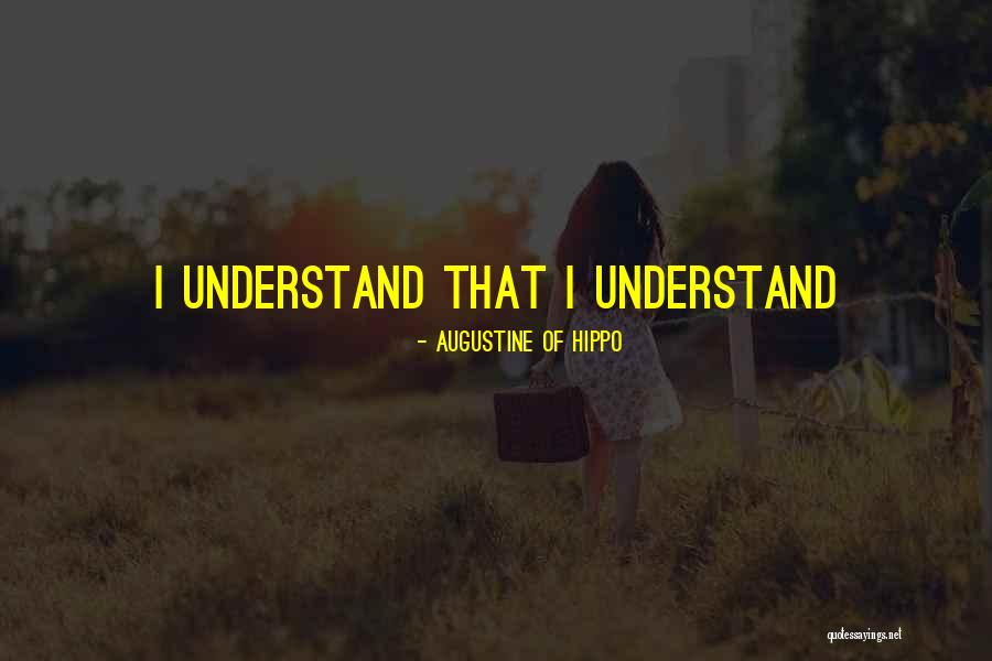 Barium Oxide Quotes By Augustine Of Hippo Barium Oxide Quotes By Augustine Of Hippo