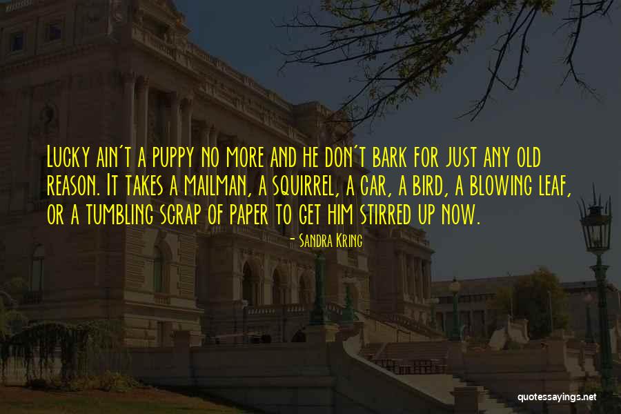 Bark Off For Dogs Quotes By Sandra Kring Bark Off For Dogs Quotes By Sandra Kring