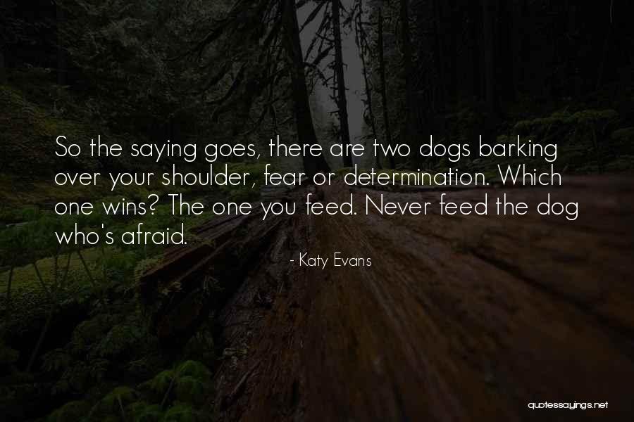 Barking Dogs Quotes By Katy Evans Barking Dogs Quotes By Katy Evans