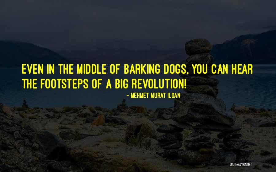 Barking Dogs Quotes By Mehmet Murat Ildan Barking Dogs Quotes By Mehmet Murat Ildan