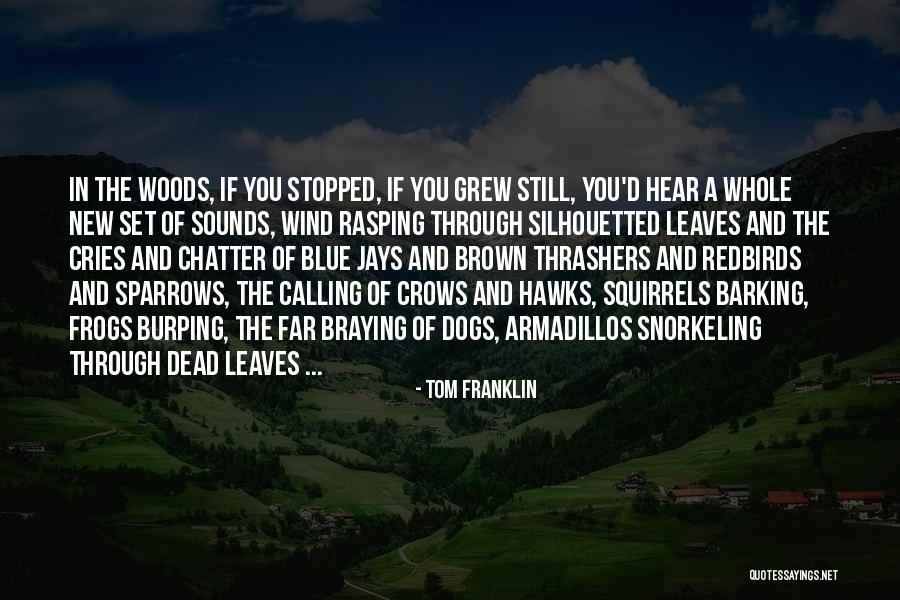 Barking Dogs Quotes By Tom Franklin Barking Dogs Quotes By Tom Franklin