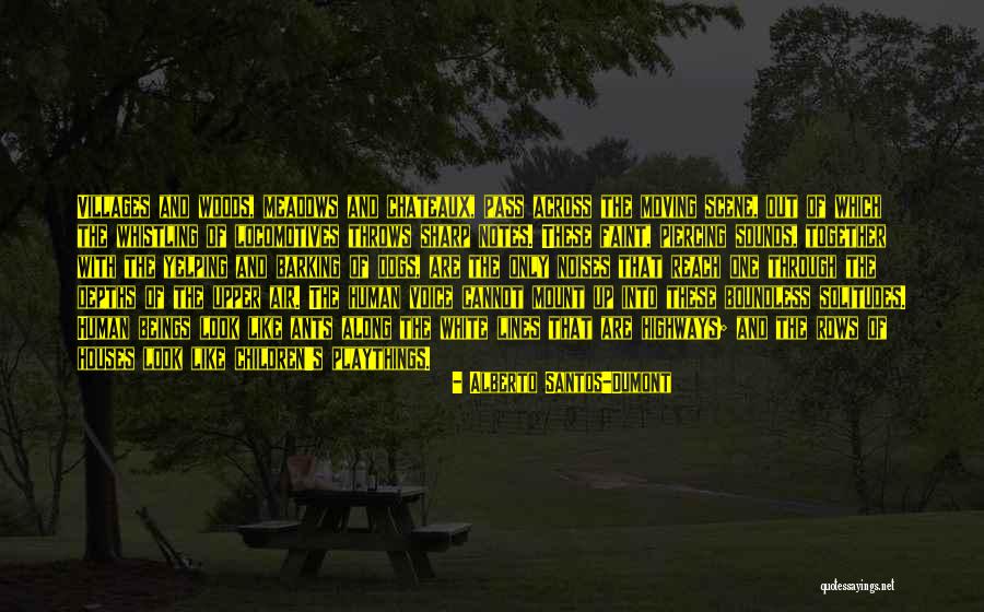 Barking Up Quotes By Alberto Santos-Dumont Barking Up Quotes By Alberto Santos-Dumont