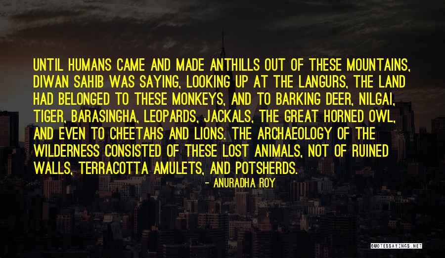 Barking Up Quotes By Anuradha Roy Barking Up Quotes By Anuradha Roy