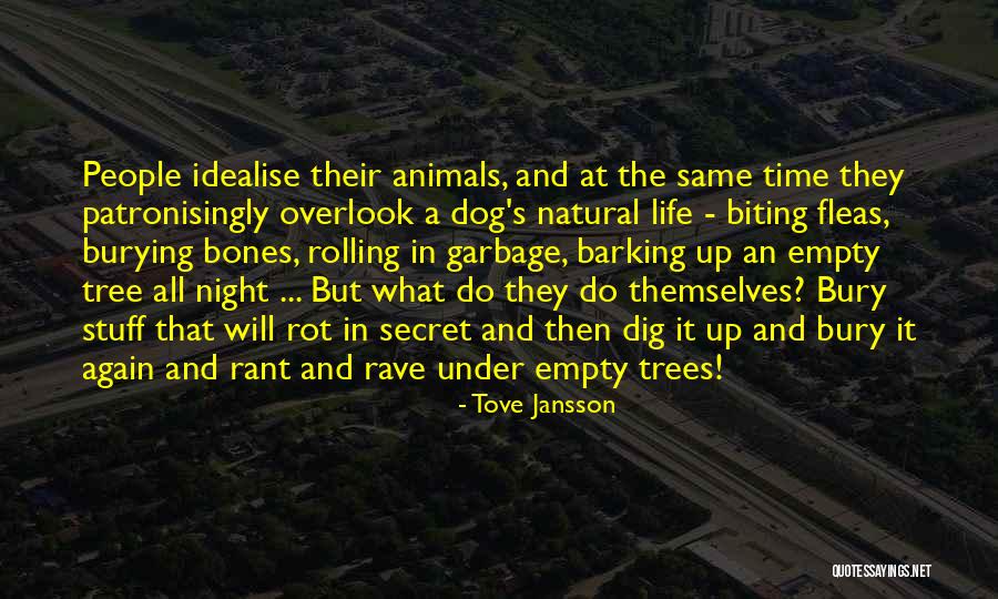 Barking Up Quotes By Tove Jansson Barking Up Quotes By Tove Jansson