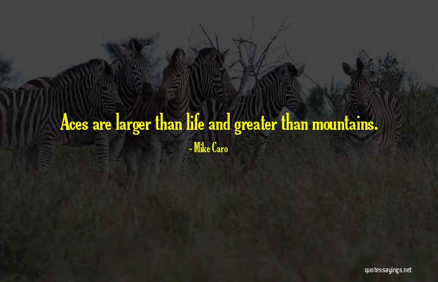 Barkis Identity Quotes By Mike Caro