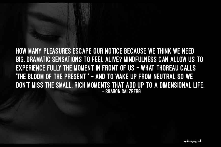 Barkovich Neuroradiology Quotes By Sharon Salzberg Barkovich Neuroradiology Quotes By Sharon Salzberg