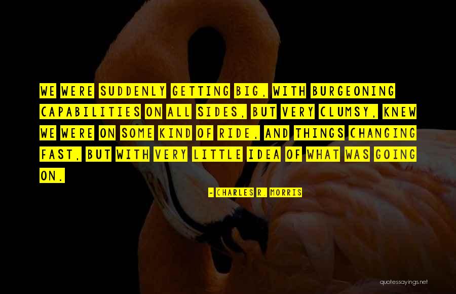 Barlestone Quotes By Charles R. Morris