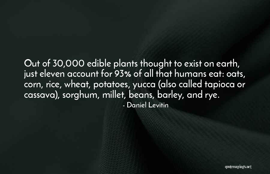 Barley Quotes By Daniel Levitin