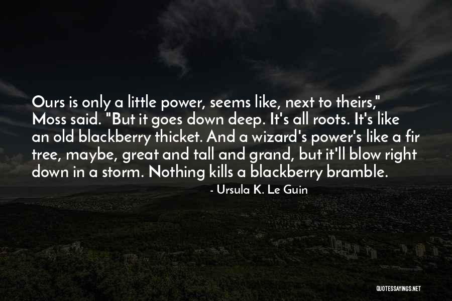 Barleywine Beer Quotes By Ursula K. Le Guin Barleywine Beer Quotes By Ursula K. Le Guin