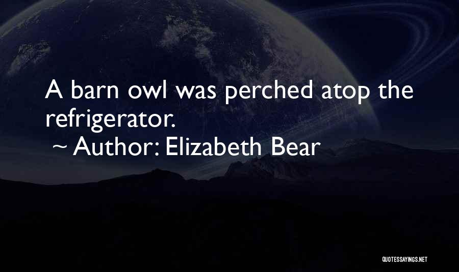 Barn Owl Quotes By Elizabeth Bear