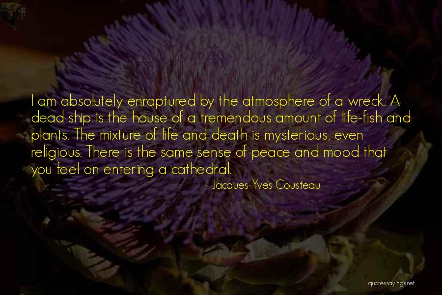 Barnabe Aime Quotes By Jacques-Yves Cousteau Barnabe Aime Quotes By Jacques-Yves Cousteau