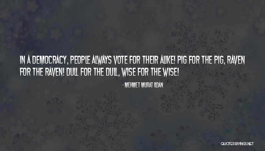 Barnlunds Model Quotes By Mehmet Murat Ildan Barnlunds Model Quotes By Mehmet Murat Ildan