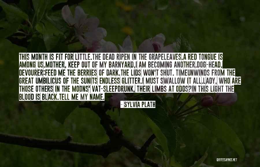 Barnyard Dog Quotes By Sylvia Plath Barnyard Dog Quotes By Sylvia Plath