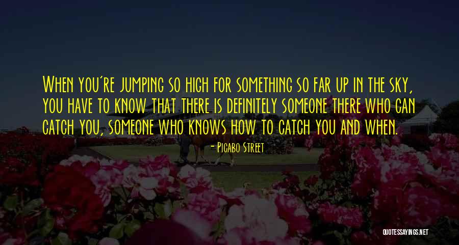 Baronis Quotes By Picabo Street Baronis Quotes By Picabo Street